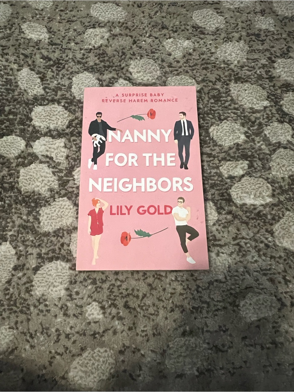 ALL BOOKS 6 for $20 | Nanny for the Neighbors by Lily Gold